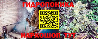 mdpv Заводоуковск