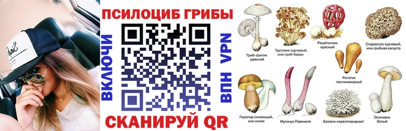 Галлюциногенные грибы мухоморы  мега маркетплейс  Заинск 