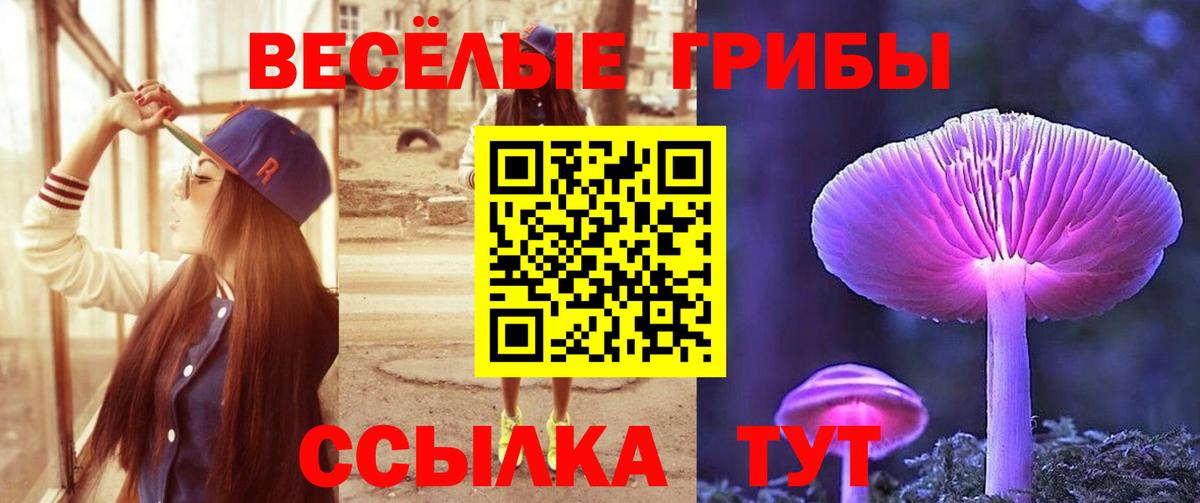 Заинск  Псилоцибиновые грибы Magic Shrooms  Вход с VPN 