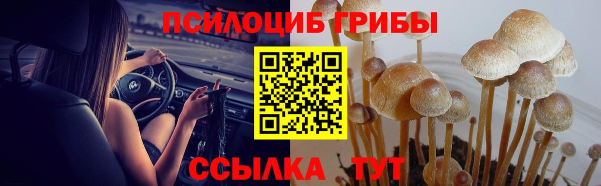 Галлюциногенные грибы Cubensis Заинск